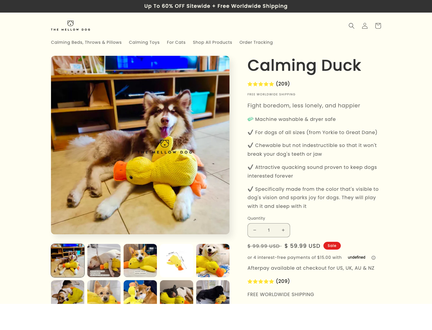vision support landing page 3